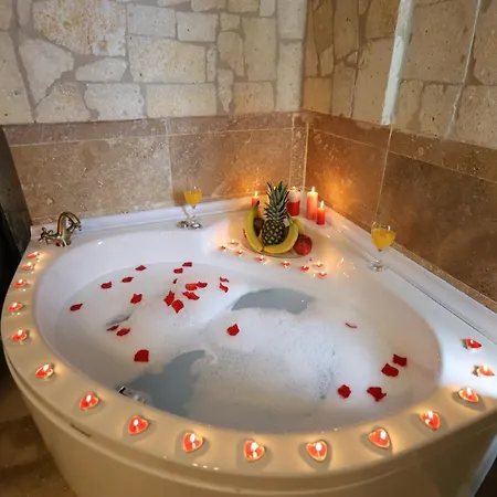 Castle Panorama House *