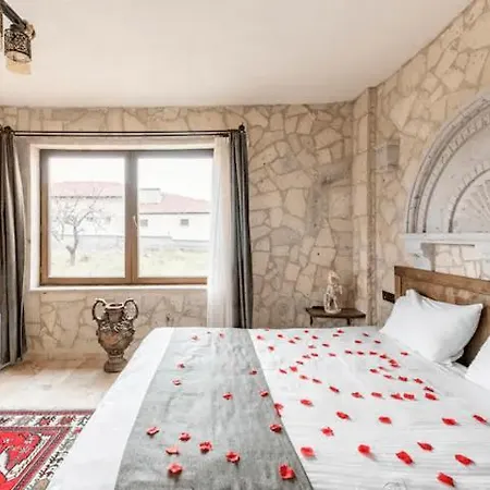 Hotel Castle Panorama House *