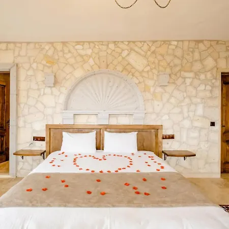 Hotel Castle Panorama House *