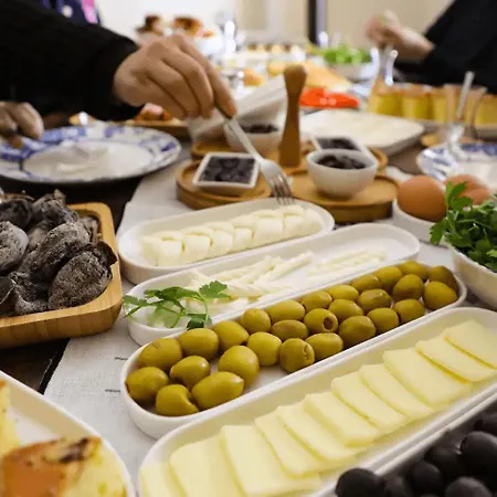 Hotel Castle Panorama House