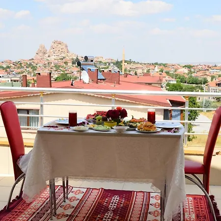 Hotel Castle Panorama House *