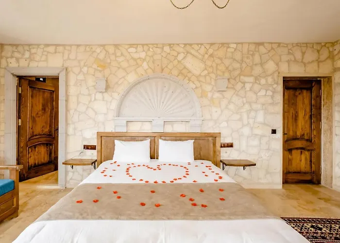 Hotel Castle Panorama House *