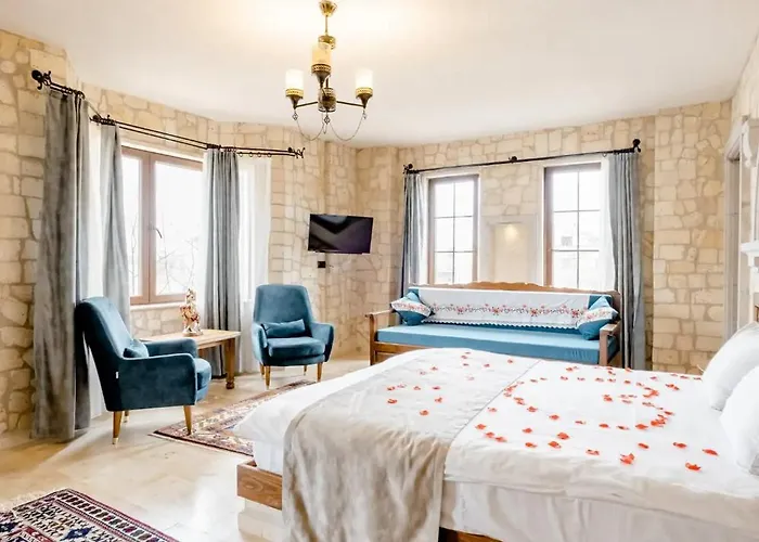 Hotel Castle Panorama House